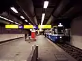 Tram der Linie 9 in der Station Waldgarten