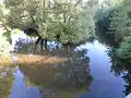 Zusammenfluss von Badischer (links) und Württembergischer Eschach (rechts)