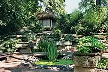 Botanische Sammlungen im Landschloss Zuschendorf