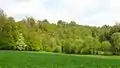 Zwettltal mit Lebensraumtyp „Schlucht- und Hangmischwälder“