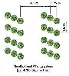 Dreifachreihe (Nordholland-System)