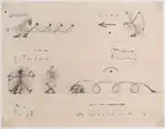Tanzschrift zur weiblichen „Toboggan“-Maske, eines von 11 Blättern (1920/1921)
