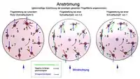 Anströmung