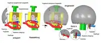 Arretierung der Drehposition des Kugelkopfes